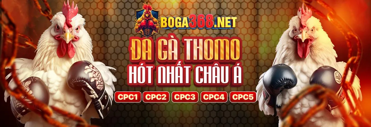 Game Hải Tặc Bắn Cá tại xin88 fb