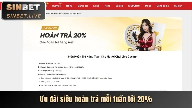Thưởng và Ưu Đãi Độc Quyền